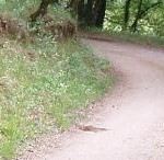 Circuit pedestre et VTT reliant Dudelange et Volmerange-les-Mines