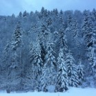 Les vacances d’hiver 2012 : c’est déjà fini