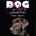 International Dog Show – Luxembourg 2012