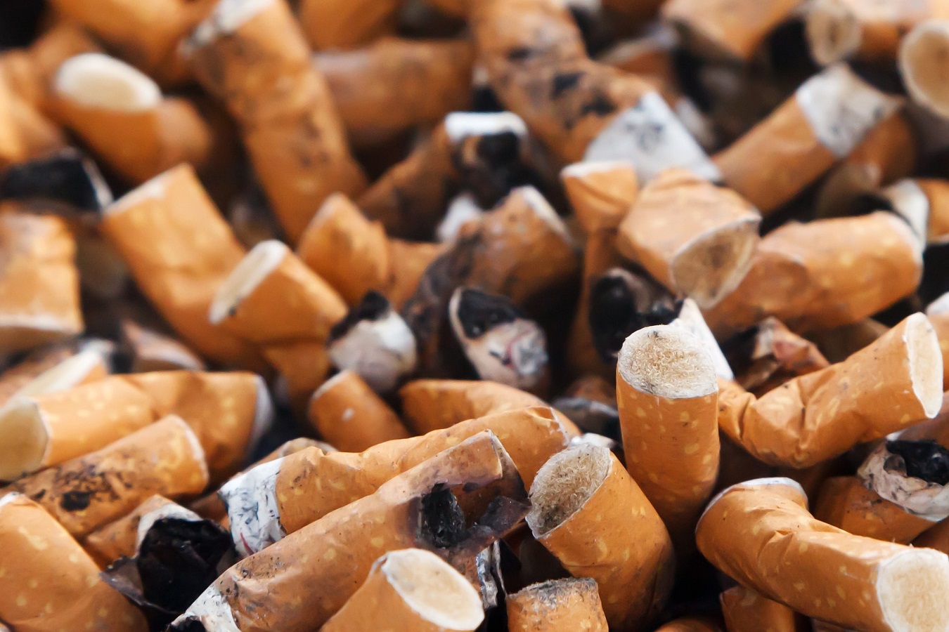 mégot de cigarette en anglais Mégot Images – Browse 427 Stock Photos, Vectors, and Video mégot de cigarette en anglais Mégot Images – Browse 427 Stock Photos, Vectors, and Video